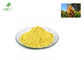 Health Care Pine Pollen Extract , Yellow Powder Form Pine Cone Pollen
