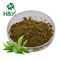 80 Mesh Promote Digestion 10% Andrographis Extract