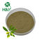 80 Mesh Leaf Part 25% Oleuropein Olive Leaf Extract